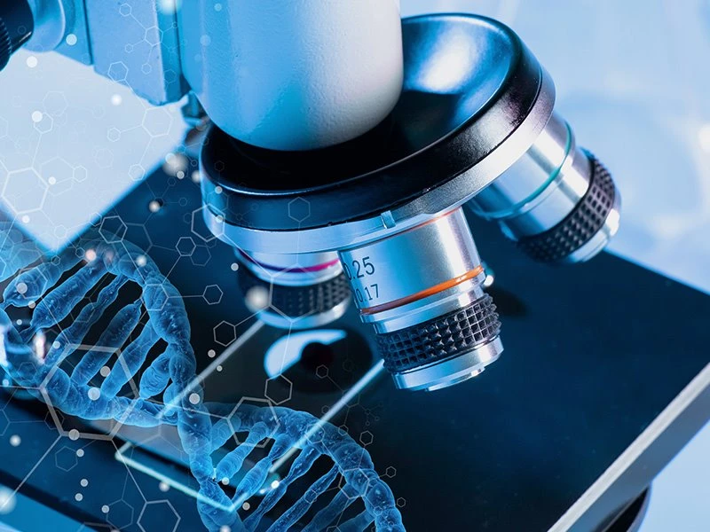 AFM (Atomic Force Microscopy) Analysis