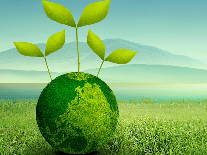 Environmental Testing For Waterproofing And Sealing Materials