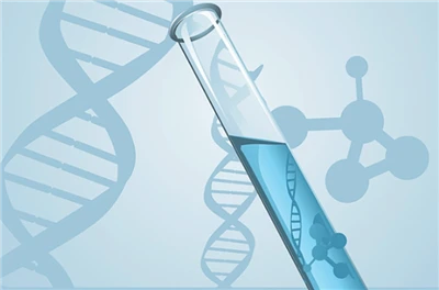 How Should Enterprises Complete REACH Testing ?