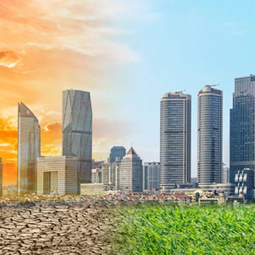 Persistent Organic Pollutants (POPs) Testing